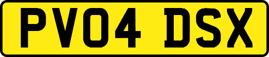 PV04DSX