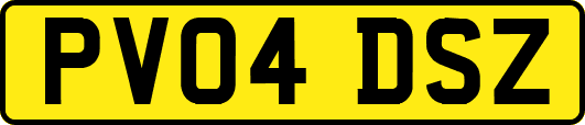 PV04DSZ