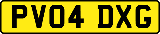 PV04DXG