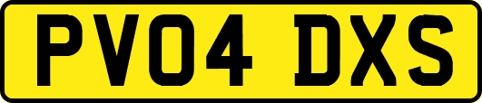PV04DXS