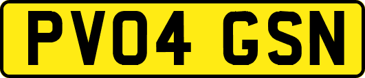 PV04GSN