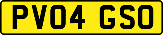 PV04GSO