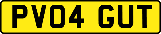 PV04GUT