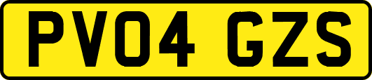 PV04GZS