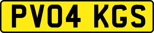 PV04KGS
