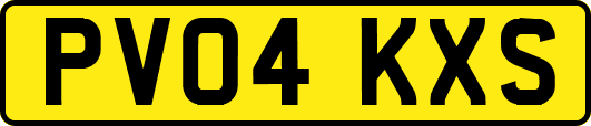 PV04KXS