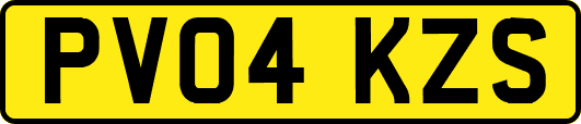 PV04KZS