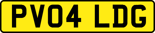 PV04LDG