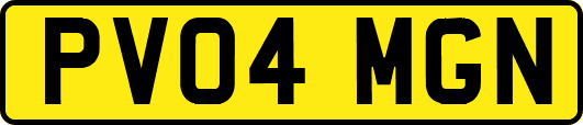 PV04MGN