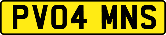 PV04MNS
