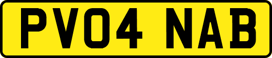 PV04NAB