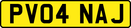 PV04NAJ