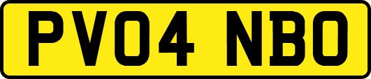 PV04NBO