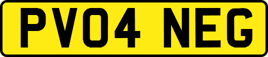 PV04NEG