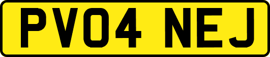 PV04NEJ