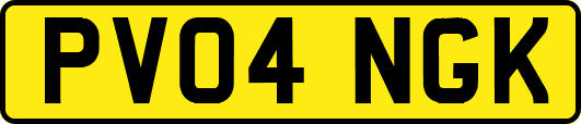 PV04NGK