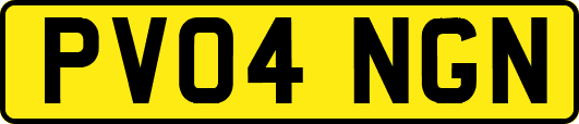 PV04NGN