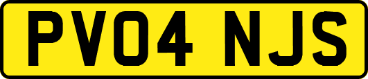 PV04NJS