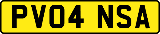 PV04NSA