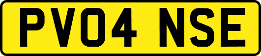 PV04NSE