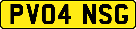 PV04NSG