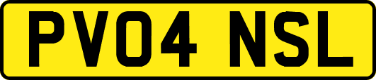 PV04NSL