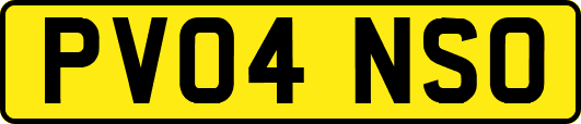 PV04NSO