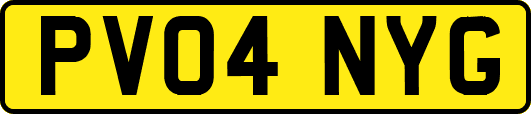 PV04NYG