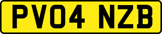 PV04NZB