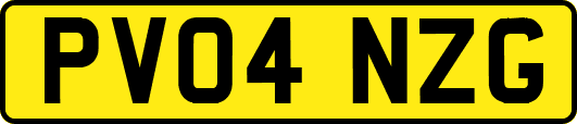 PV04NZG