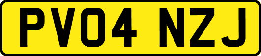 PV04NZJ