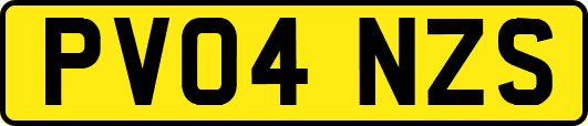 PV04NZS