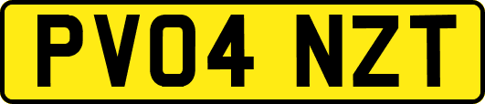 PV04NZT
