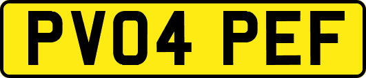PV04PEF