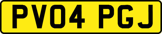 PV04PGJ