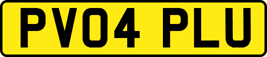 PV04PLU