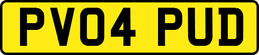 PV04PUD