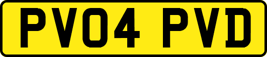 PV04PVD