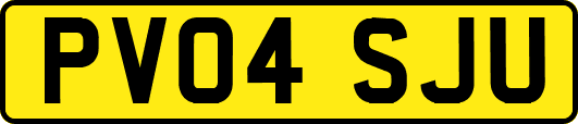 PV04SJU
