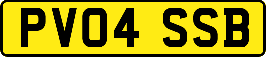 PV04SSB
