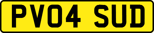 PV04SUD