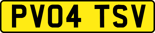 PV04TSV