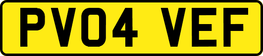 PV04VEF