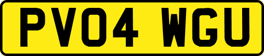 PV04WGU