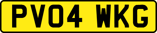 PV04WKG