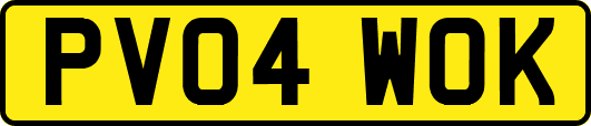 PV04WOK