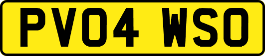 PV04WSO