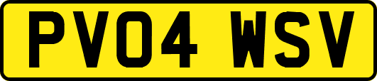 PV04WSV