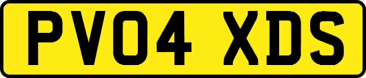 PV04XDS