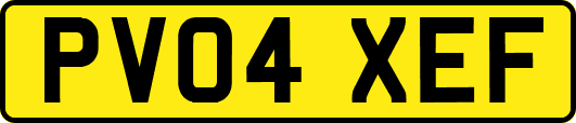 PV04XEF
